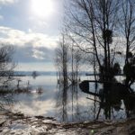Gîte Cottage du Marais Marais